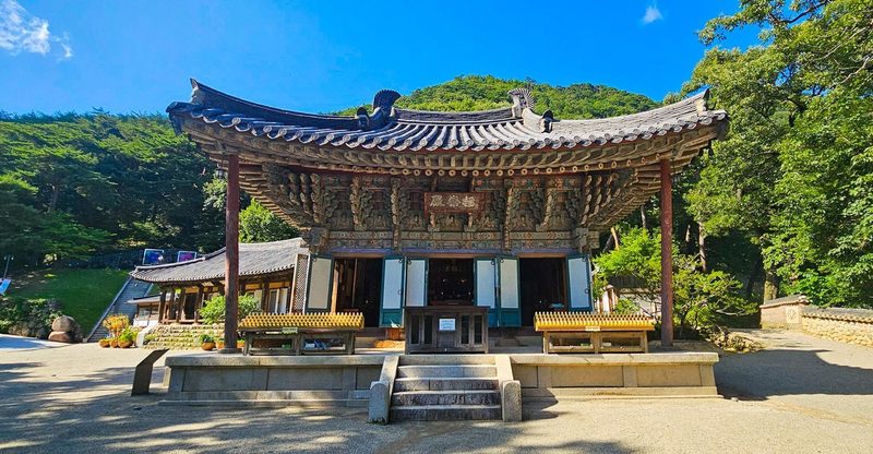 정면에서 본 단청 전각과 돌 기단, 뒤의 초록 산
